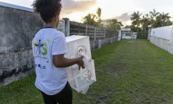 IRD bilan moustiques stériles Duparc