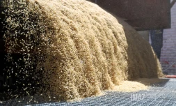 importation de riz 