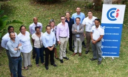 CCIR - MBA executive 
