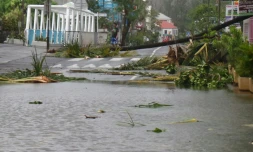 Cyclone Bejisa