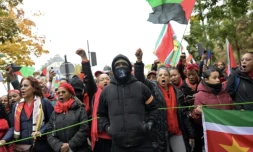 Une manifestation appelée par la diaspora française d'outre-mer contre le coût de la vie élevé, sur la place Denfert-Rochereau à Paris le 10 novembre 2024 ( AFP / Bertrand GUAY )
