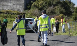 Wold Clean Up Day : 50 kilos de déchets enlevés à la Plaine Des Cafres