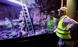 Aquarium de La Réunion : une opération de rénovation lancée à partir de 2026