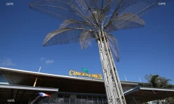 cinepalmes 