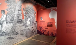 Nouvelle exposition sur le café à Stella Matutina