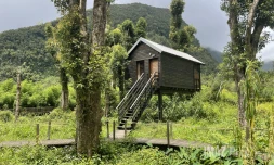 Développer sans détruire : le défi du tourisme durable à La Réunion