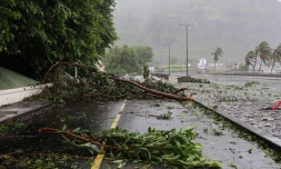 cyclone intense Batsirai 2 février 2022 côte est
