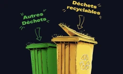 Civis : avec le Sakitri, le Sakifo passe au vert