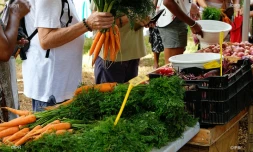 Marchés producteurs 