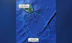Une tortue relâchée par Kelonia trace les contours de La Réunion en plein océan