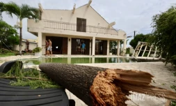 Garance : La Réunion, l'île en phase de sauvegarde
