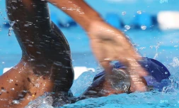 Natation 