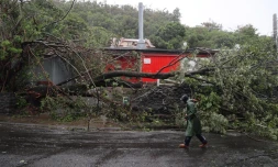 cyclone intense Batsirai 2 février 2022 côte est