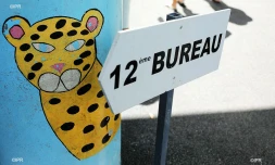 élections législatives 2017