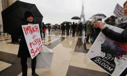 Manifestation pour défendre les droits des femmes et s'opposer au président américain Donald Trump, le 21 janvier 2018 à Paris