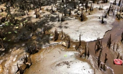 exposition cité des arts