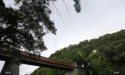 Pont de la rivière du Mât