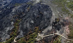 Maïdo : les pompiers toujours à l'oeuvre après sept jours d'incendie 13 novembre 2020