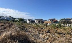 Territoire de l'ouest : travaux de nettoyage de la ravine La Saline 