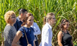 La Région et Aurore Bergé à la rencontre des agricultrices de l'île