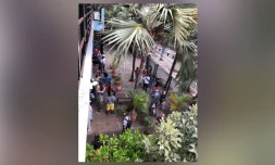 Des journées à 900 visiteurs à Kélonia