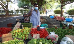 marché forain 