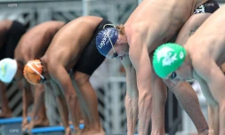 natation 