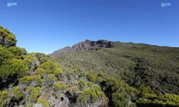 Piton des neiges 