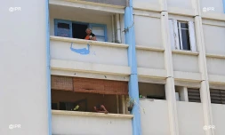 expertise judiciaire amiante camélias