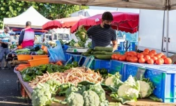 Saint-Benoît : pas de marché forain le samedi 1er mai 