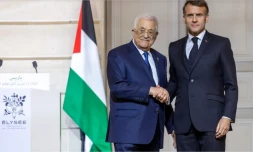 Emmanuel Macron et Mahmoud Abbas à l'ElyséeChristophe PETIT TESSON / POOL / AFP