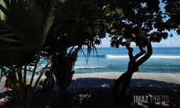  filets plage des Roches Noires 