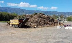 Déchèterie jamaique