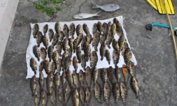 Pêche illégale dans la réserve