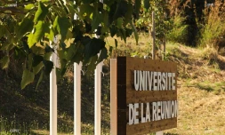 université de la réunion 