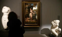 Une visiteuse admire le tableau "Leda et le cygne" lors de la rétrospective consacrée à Léonard de Vinci, le 22 octobre 2019 au Musée du Louvre, à Paris