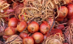 fruits et légumes au marché forain