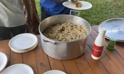 Saint-Denis met le riz pays à l'honneur