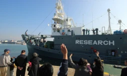 Un bateau quitte le port japonais de Shimonoseki pour une campagne de chasse à la baleine dans l'Antarctique, le 1er décembre 2015