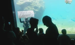 Une demande en mariage originale à Kélonia