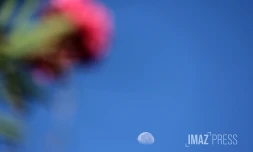 lune 
