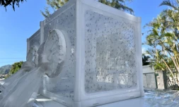 Le Port : premier lâcher de moustiques mâles stérilisants