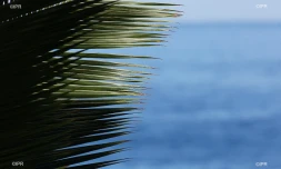 météo Réunion 