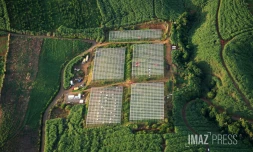 agriculture