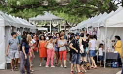 Barachois en fĂŞte