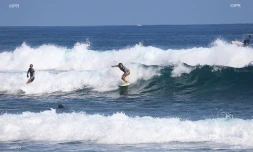Surf