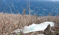 Pollution plastique
