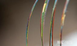cable numérique 