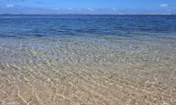 Lagon 