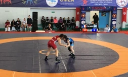 Championnats de méditerranée lutte
